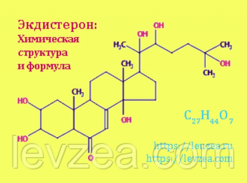 Cepyxa-opo 20 p coep 946  epoa