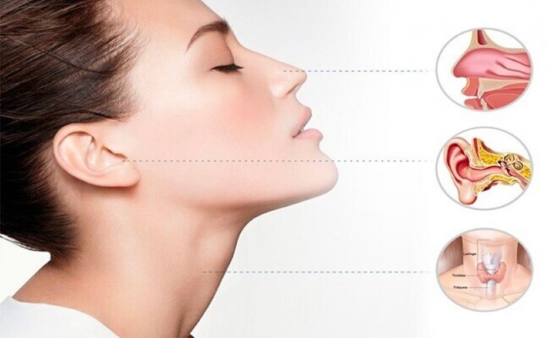 ����������� ������� ���-����������� � ����������� ������� 21 � ��������